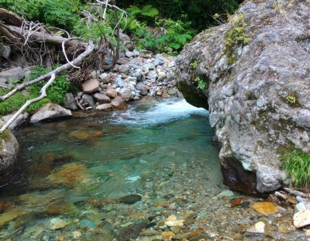 渓流釣りでクマと遭遇 ～九頭竜川水系～